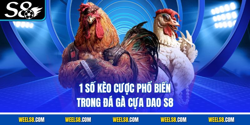 1 số kèo cược phổ biến trong đá gà cựa dao S8