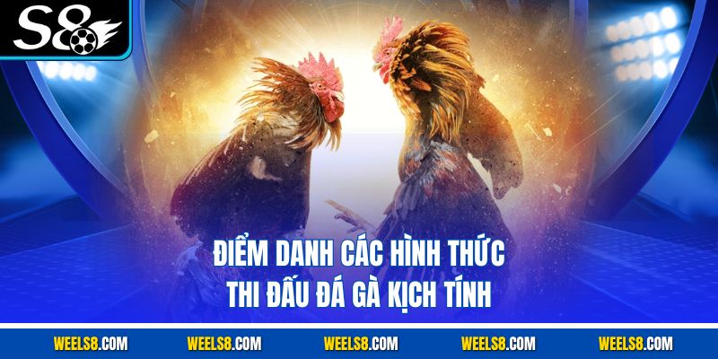 Điểm danh các hình thức thi đấu đá gà kịch tính