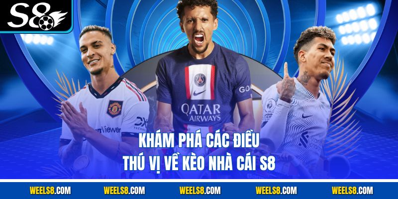 Khám phá các điều thú vị về kèo nhà cái S8