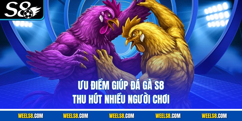 Ưu điểm giúp đá gà S8 thu hút nhiều người chơi